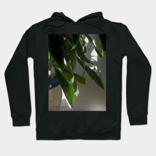 Sunrise on Leaves Hoodie